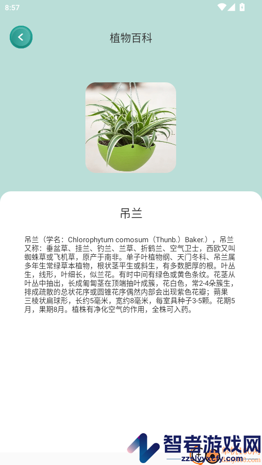 花草秒识别app下载
