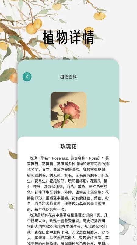 花草秒识别官网版