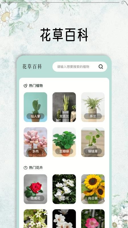 花草秒识别官网版