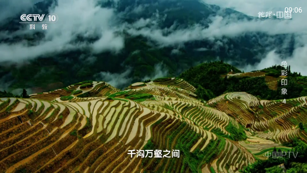 频道多多电视app