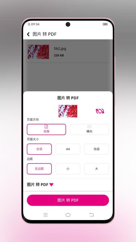 壹龙PDF转换最新版