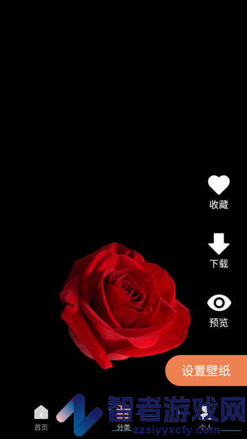 每日动态主题壁纸app