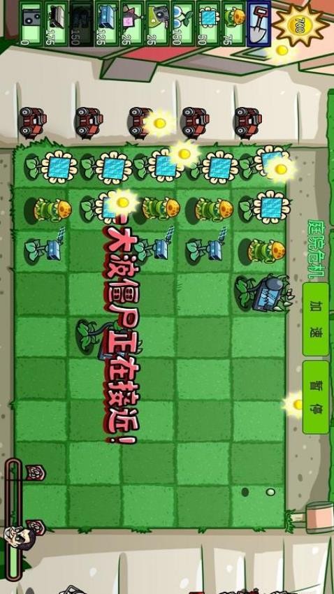 植物击退僵尸