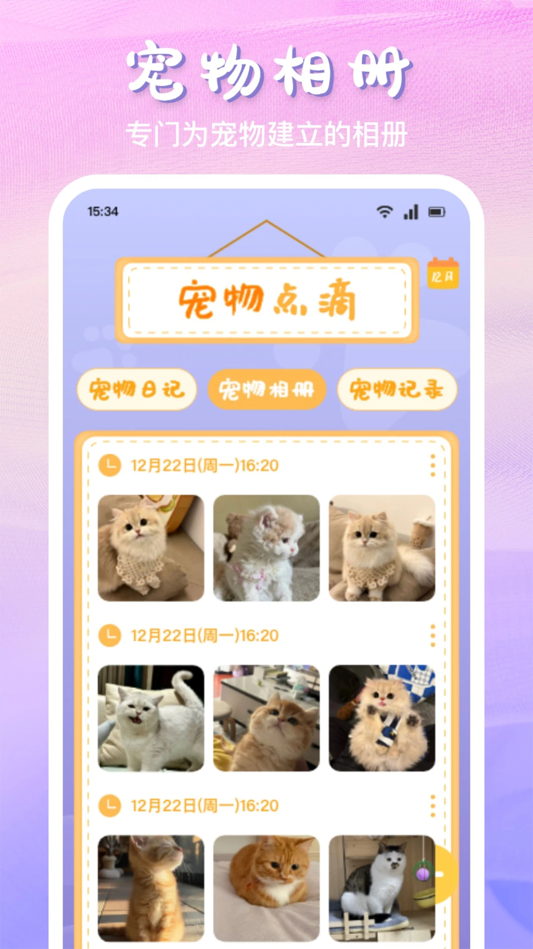 喵喵翻译器软件