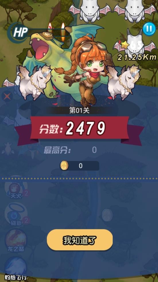 急速的飞行