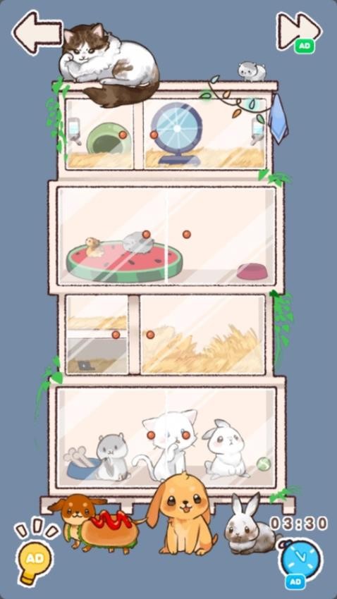 小屋收纳物语