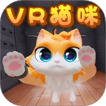 我是大橘猫