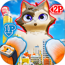 当只猫