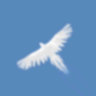天之鸟游戏(Sky Bird)